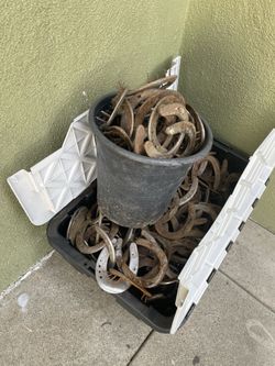 Horse shoes