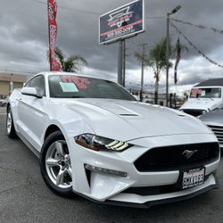 2019 Ford Mustang