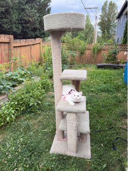 Free cat tree