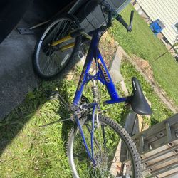 Bikes For Sale 