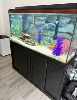 75 Gallon Fish Tank