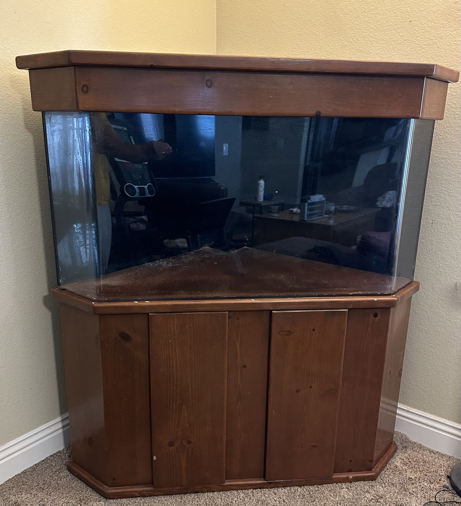 100-gal Corner Fish Tank + EXTRA
