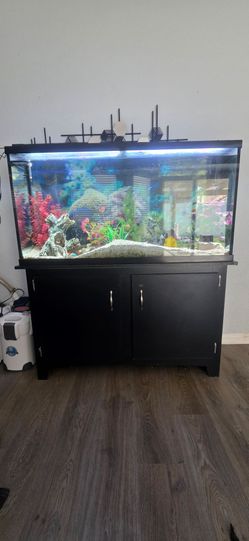 55 Gallon Fish Tank with Stand & Complete Setup