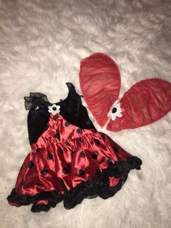 LadyBug Hallow costume - Girls age 1-3 - worn for less than 1 hr