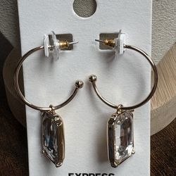 Express Gold and Silver Earrings with Crystal Elegance