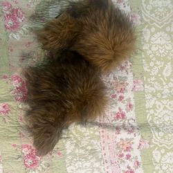 short raccoon fur boots