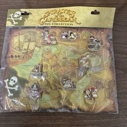 Disneyland pin collection