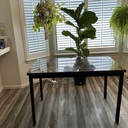 KITCHEN/DINING TABLE