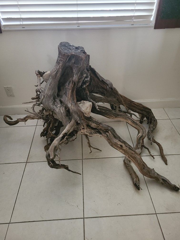 Drift Wood Base 