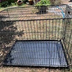 Large Dog Kennel