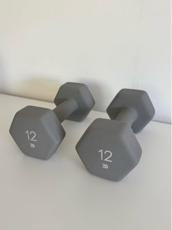 12lb Gray Dumbbells x2