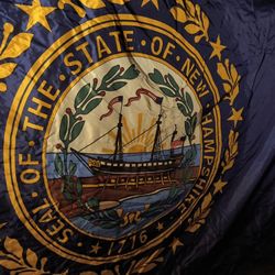 Large State Of New Hampshire Flag