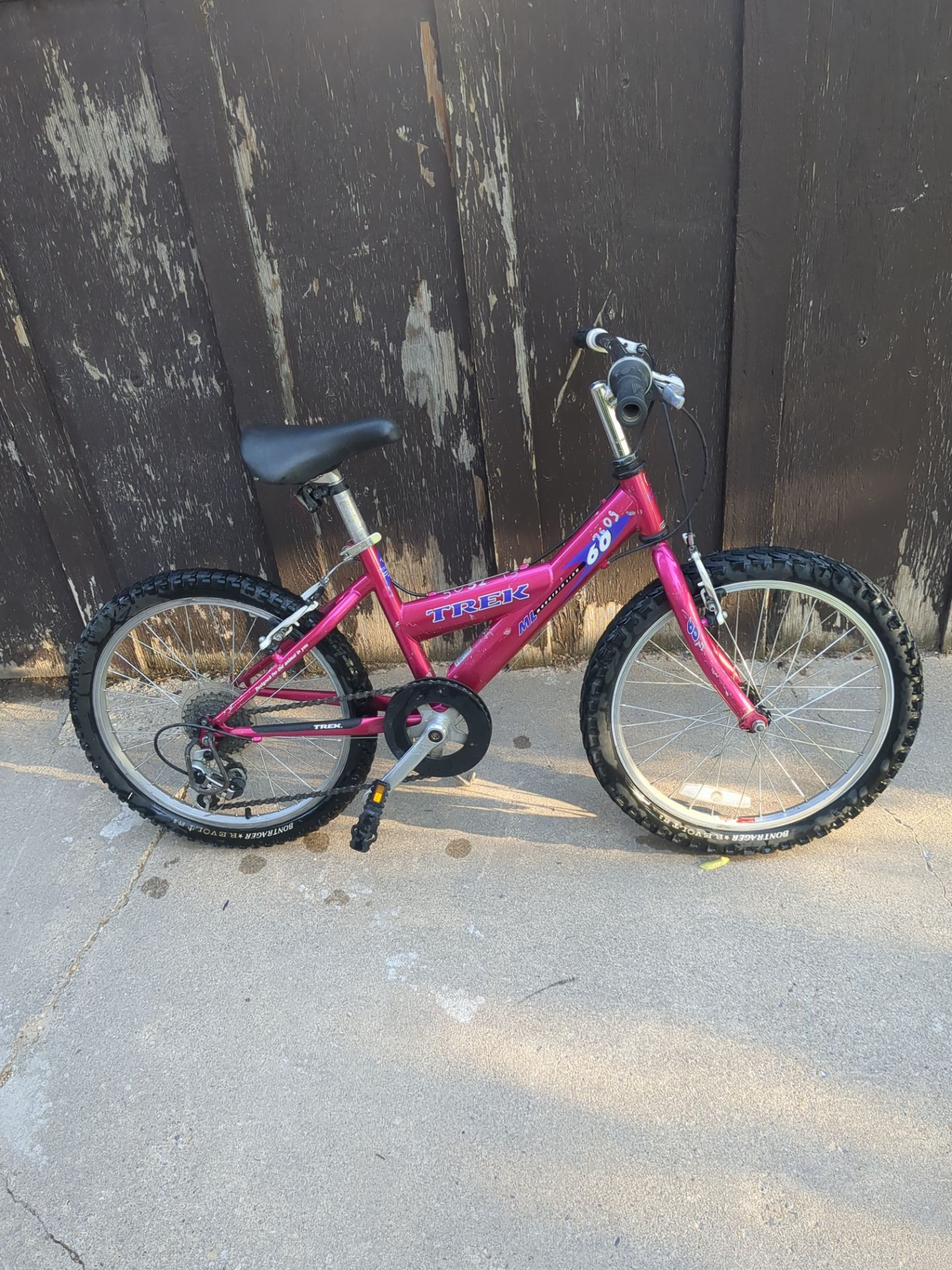 2000 Trek Mountain lion kids bike