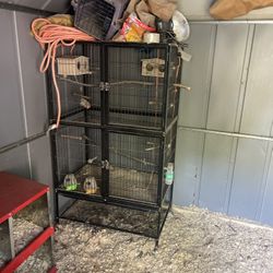 birdcage