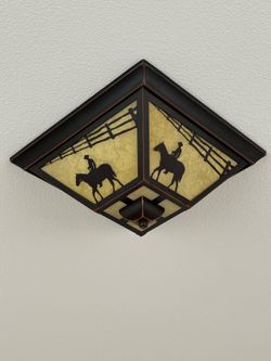 FREE ceiling light fixture