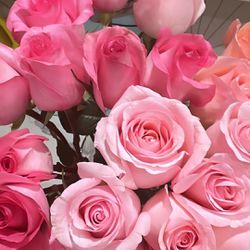 Rose Bouquets 