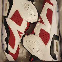 2021 Jordan 6 Retro Carmine Size 11 New $260