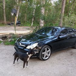 2007 CLS 550 Mercedes Benz 