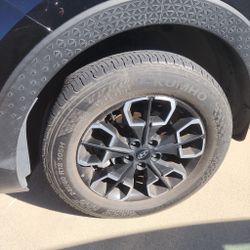Pauls Auto Detail