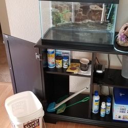 Fish Aquarium And Supplies 