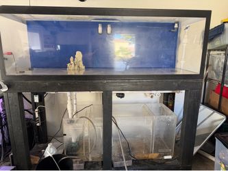 Acrylic fish tank