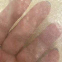 fabric Sheer organza beige off white sewing dressmaking cloth material gift bag wrapping