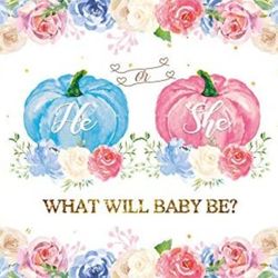 Gender Reveal Backdrop