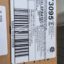 T8 Fluorescent Bulbs