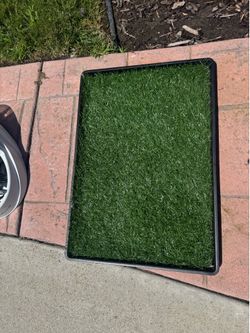 Fake Grass Patch for pet
