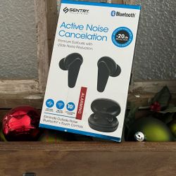 Noise Cancelation Earbuds