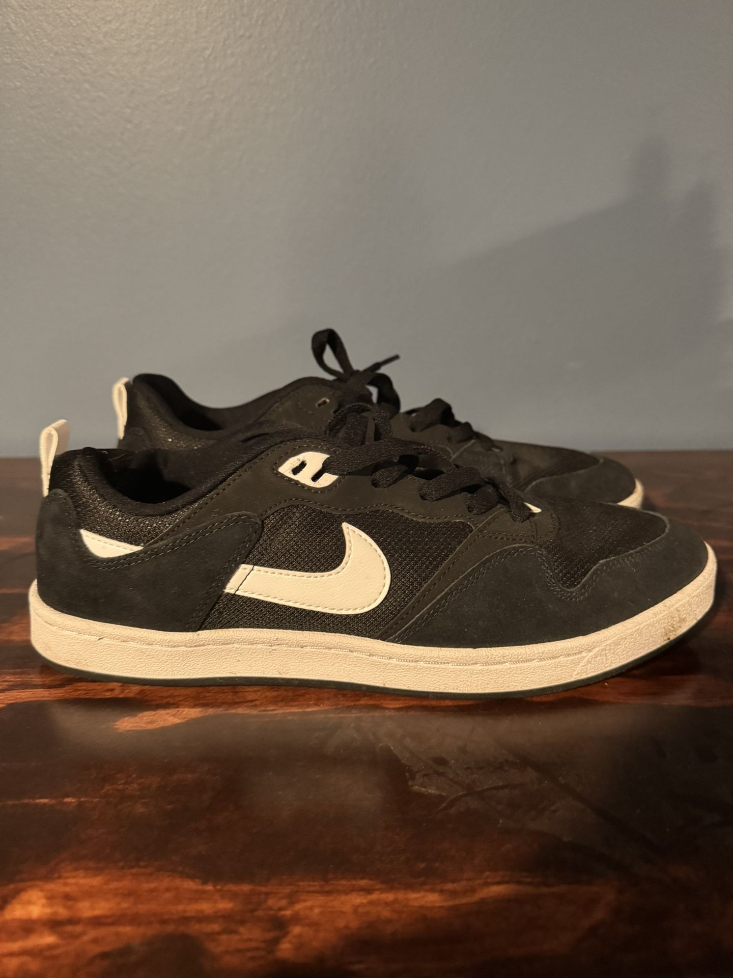 Nike SB Shoes