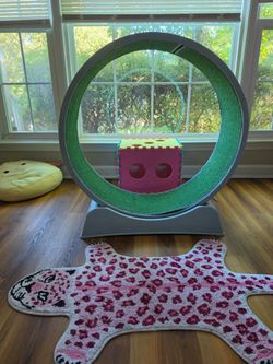 Pet exercise wheel
