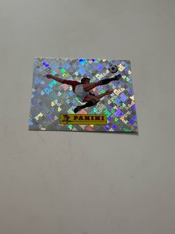 FIFA world cup panini stickers 2026 (00)