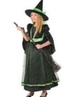 New fancy witch Halloween dress $13 child medium