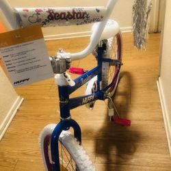 20 Sea Star Bike