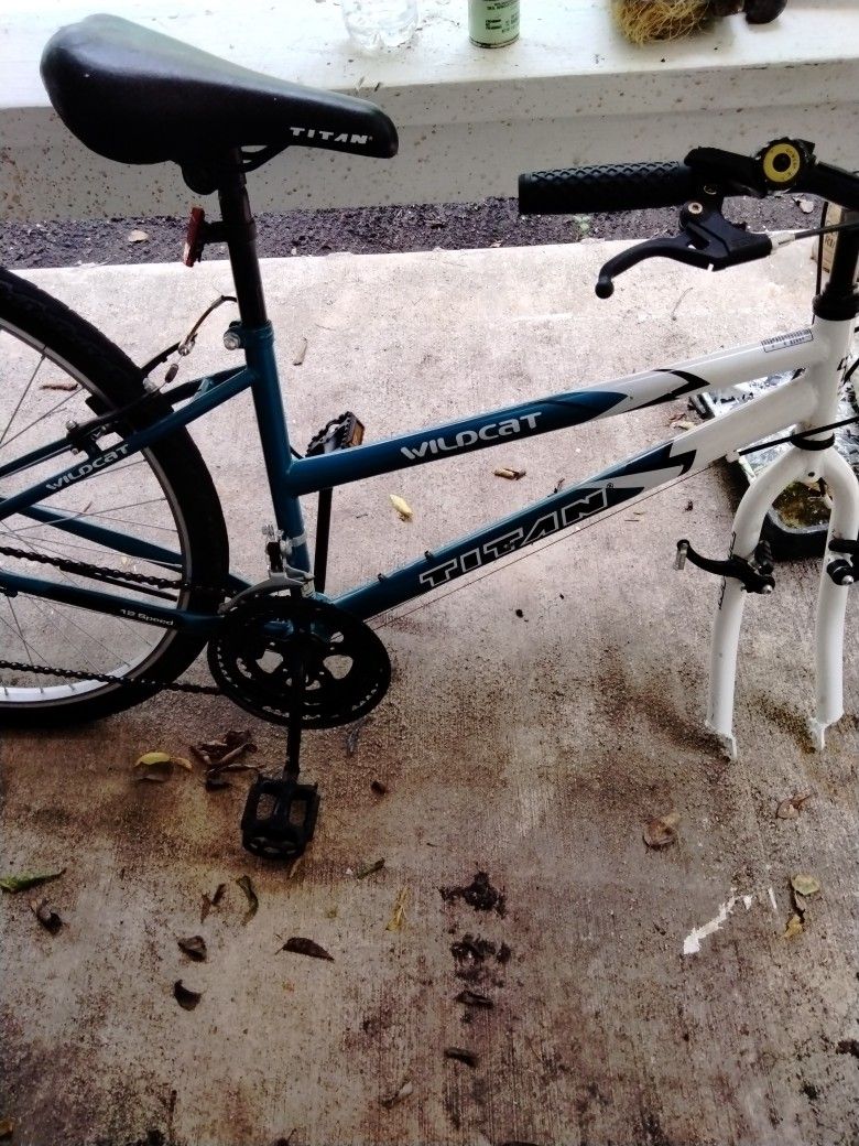 Wild Titan Bike