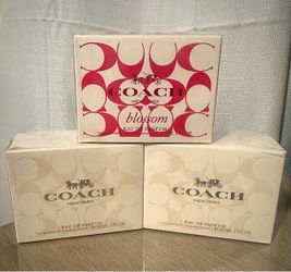 Coach perfume