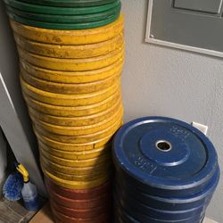 Weight plates (10lbs, 25lbs, 35lbs, 45lbs)