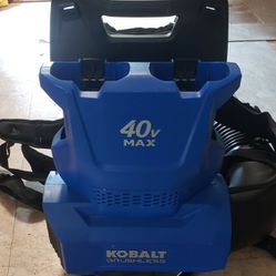 Kobalt 40v x 2 Brushless backpack blower works great and comes with 2 batteries