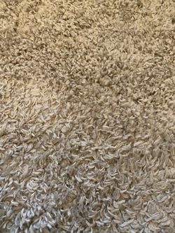 Zermatt Shag Collection 7 X 10 Ft Rug