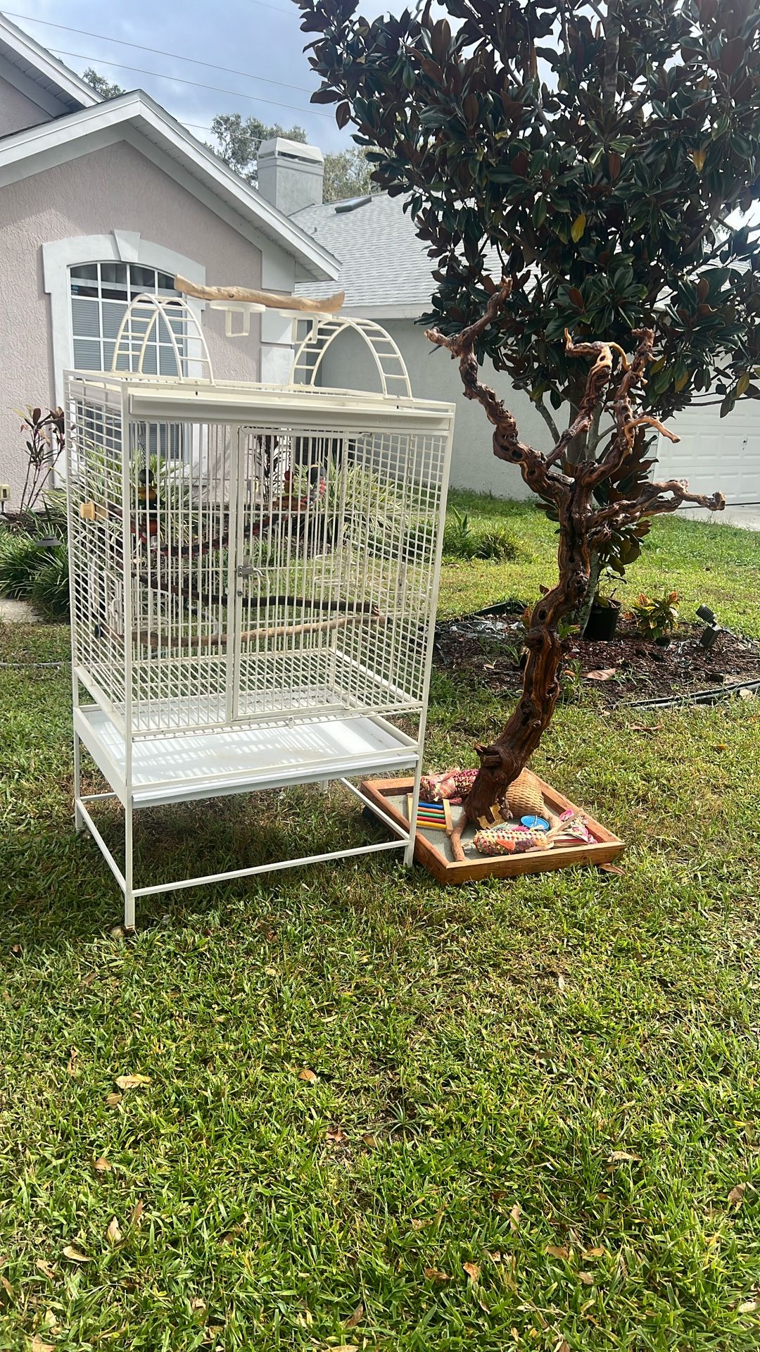 Large Bird cage