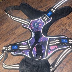 XL Dog Harness