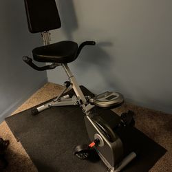 Exerpuetic Exercise Bike