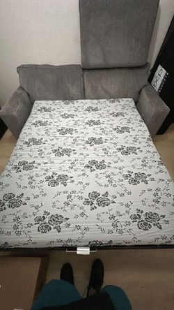 Pull out couch
