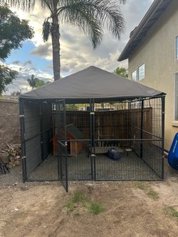 10x10 kennel/crate
