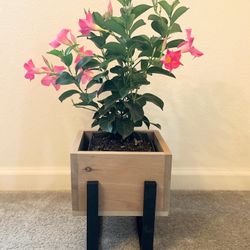 Small Planter