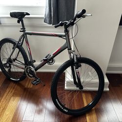 Mountain bike