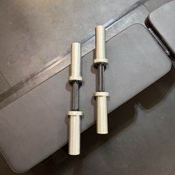 BELLS OF STEEL ADJUSTABLE DUMBBELLS