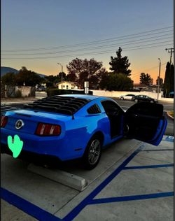 Ford Mustang Coupe – Grabber Blue