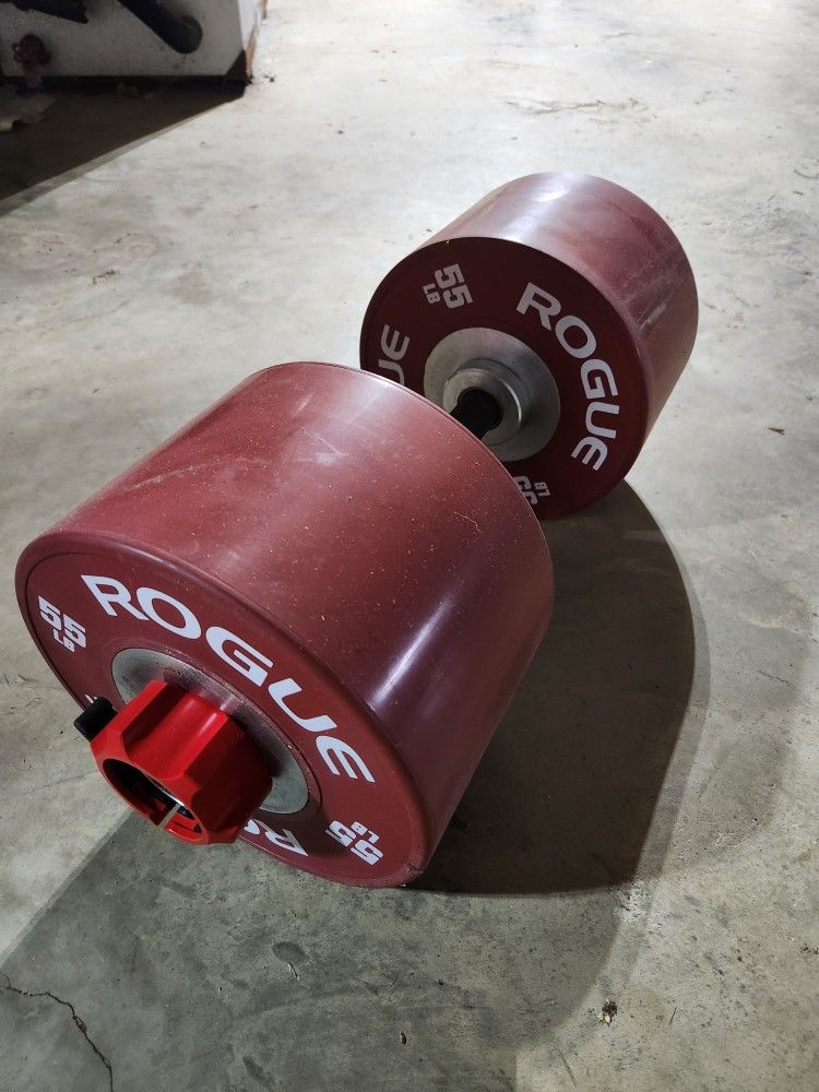 Rogue DB-15 loadable bumper dumbbell